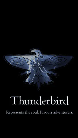 Image posted by the member