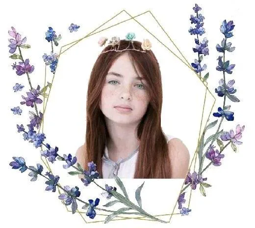 Image posted by the member