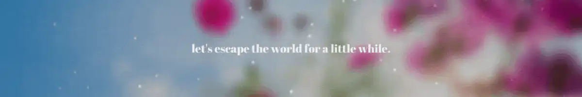Image posted by the member