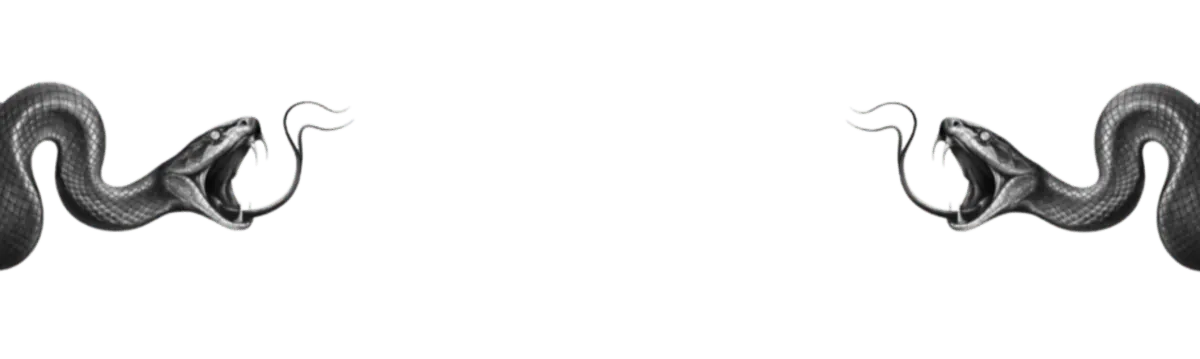 Image posted by the member