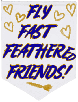 Image posted by the member