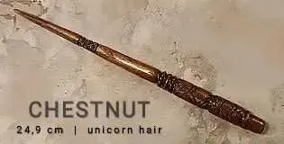 Image posted by the member