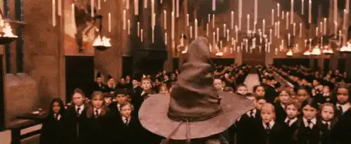 Image posted by the member