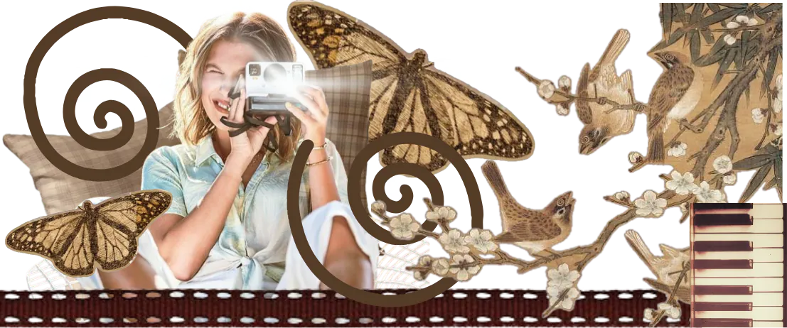 Image posted by the member