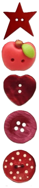 Image posted by the member