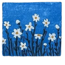 Image posted by the member