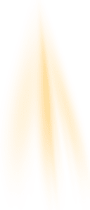 Image posted by the member