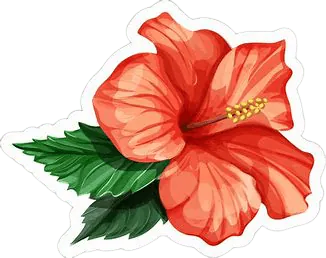 Image posted by the member