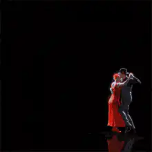 Image posted by the member