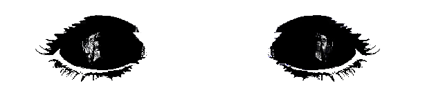Image posted by the member