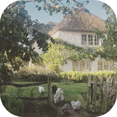 Image posted by the member