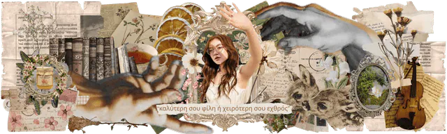 Image posted by the member