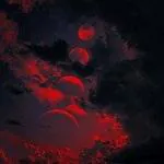 Image posted by the member