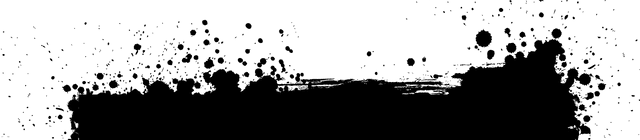 Image posted by the member
