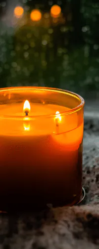 Image posted by the member
