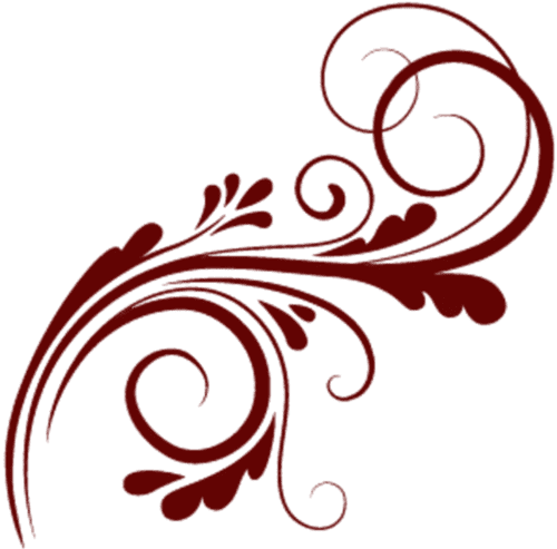 Image posted by the member