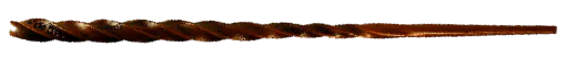 Image posted by the member