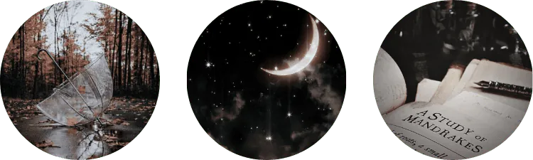 Image posted by the member