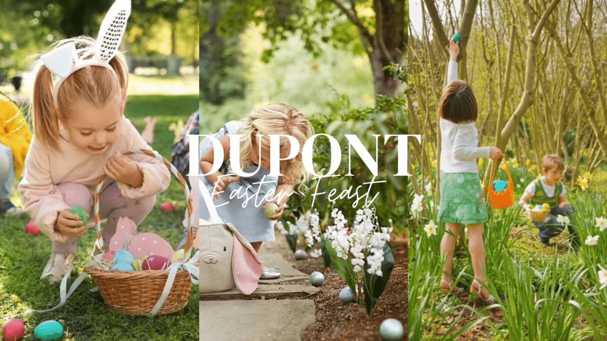 Image posted by the member