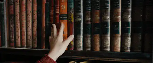 Image posted by the member
