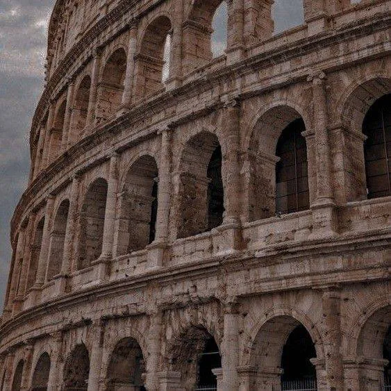 Image posted by the member