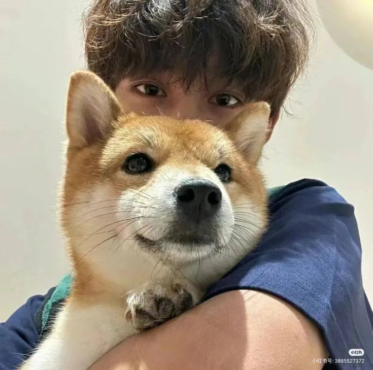 Image posted by the member