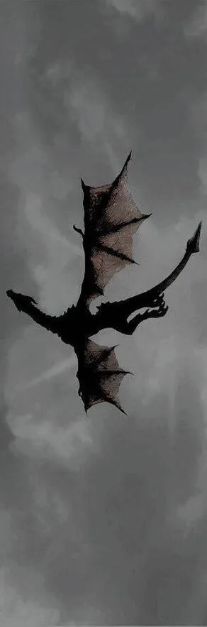Image posted by the member