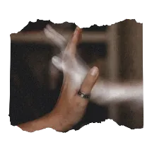 Image posted by the member