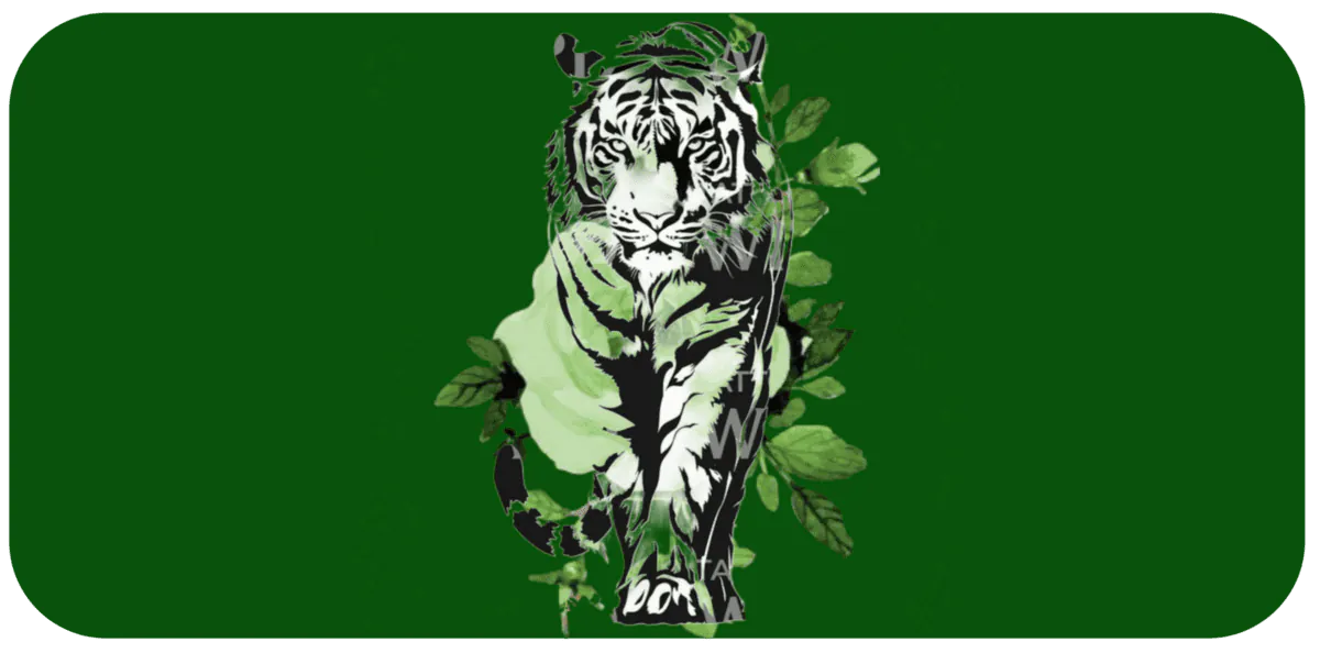 Image posted by the member