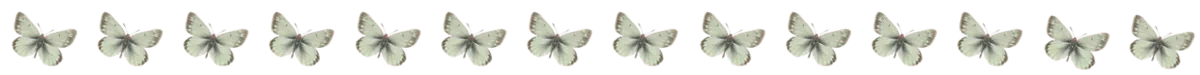 Image posted by the member