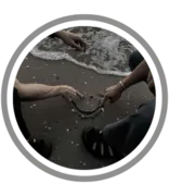 Image posted by the member