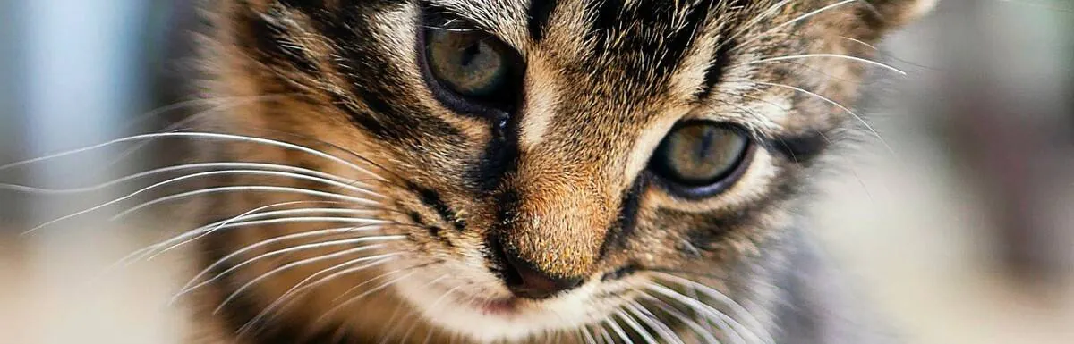 Image posted by the member