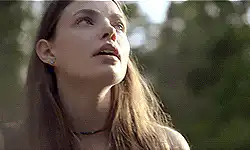 Image posted by the member