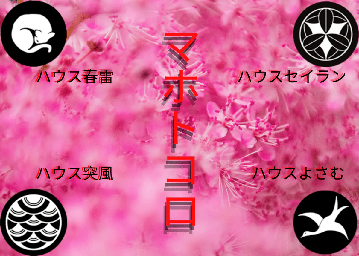 Image posted by the member