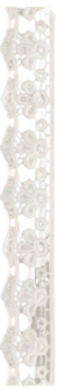 Image posted by the member
