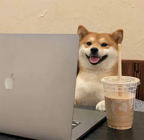 Image posted by the member