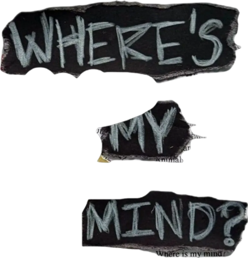 Image posted by the member