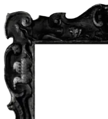 Image posted by the member