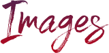 Image posted by the member