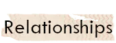 Image posted by the member