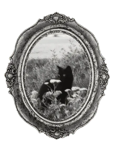 Image posted by the member