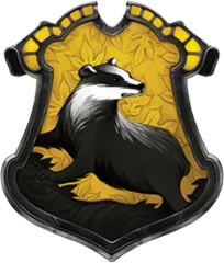 Image posted by the member