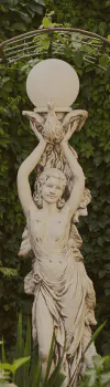Image posted by the member