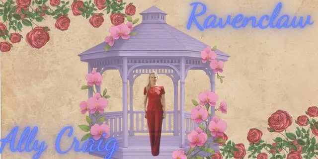 Image posted by the member
