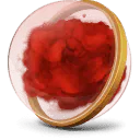 Image posted by the member