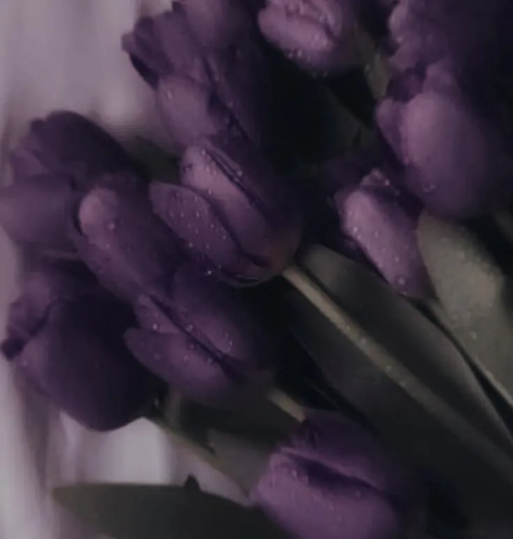 Image posted by the member