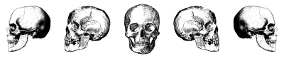 Image posted by the member