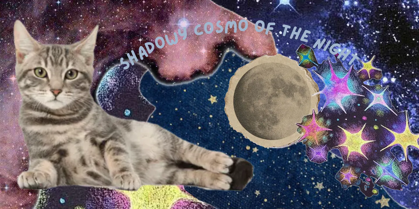 Image posted by the member