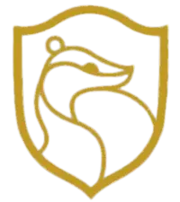 Image posted by the member