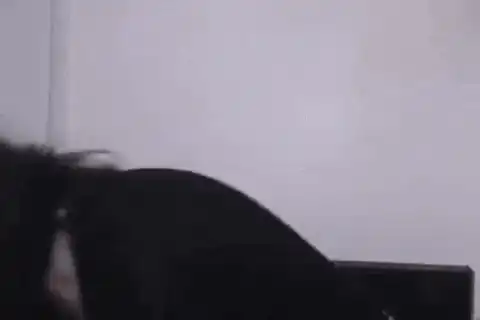 Image posted by the member